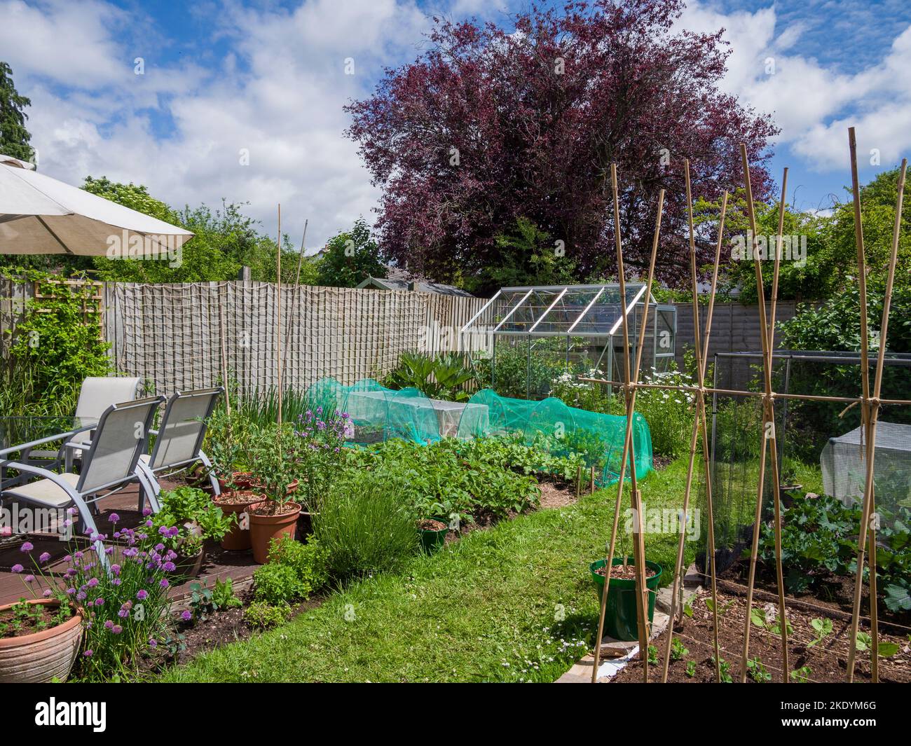 Ver en invernadero pequeño en un jardín trasero Fotografía de stock - Alamy