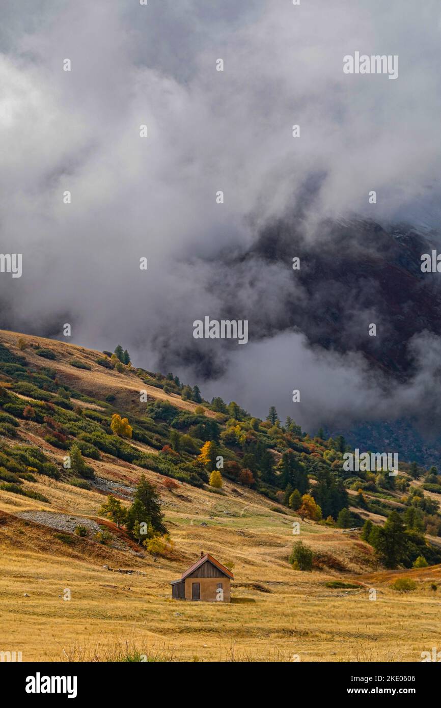 Colores otoñales en el Parque Nacional Ecrins, los Alpes, Briancon, Francia, UE Foto de stock