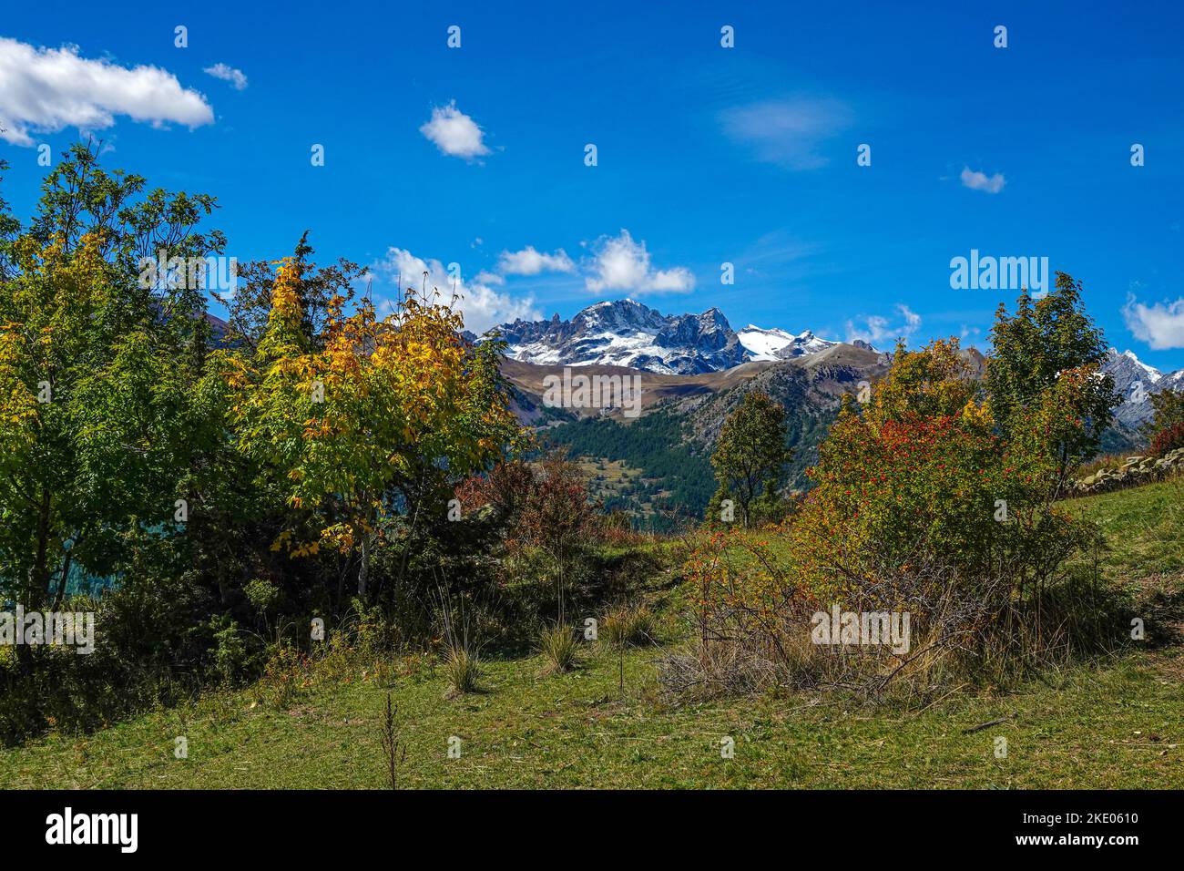 Colores otoñales en el Parque Nacional Ecrins, los Alpes, Briancon, Francia, UE Foto de stock