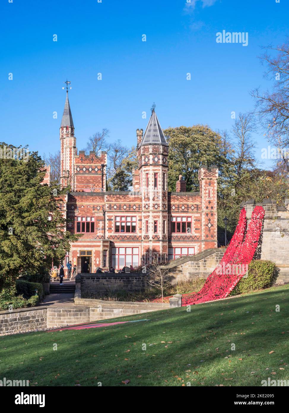 Saltwell Park Field of Remembrance, Gateshead, Inglaterra, Reino Unido Foto de stock
