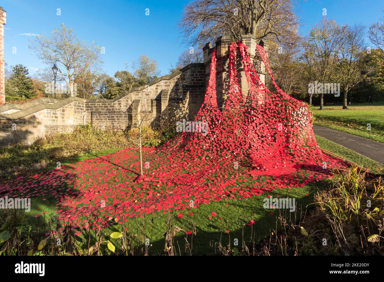 Saltwell Park Field of Remembrance, Gateshead, Inglaterra, Reino Unido Foto de stock