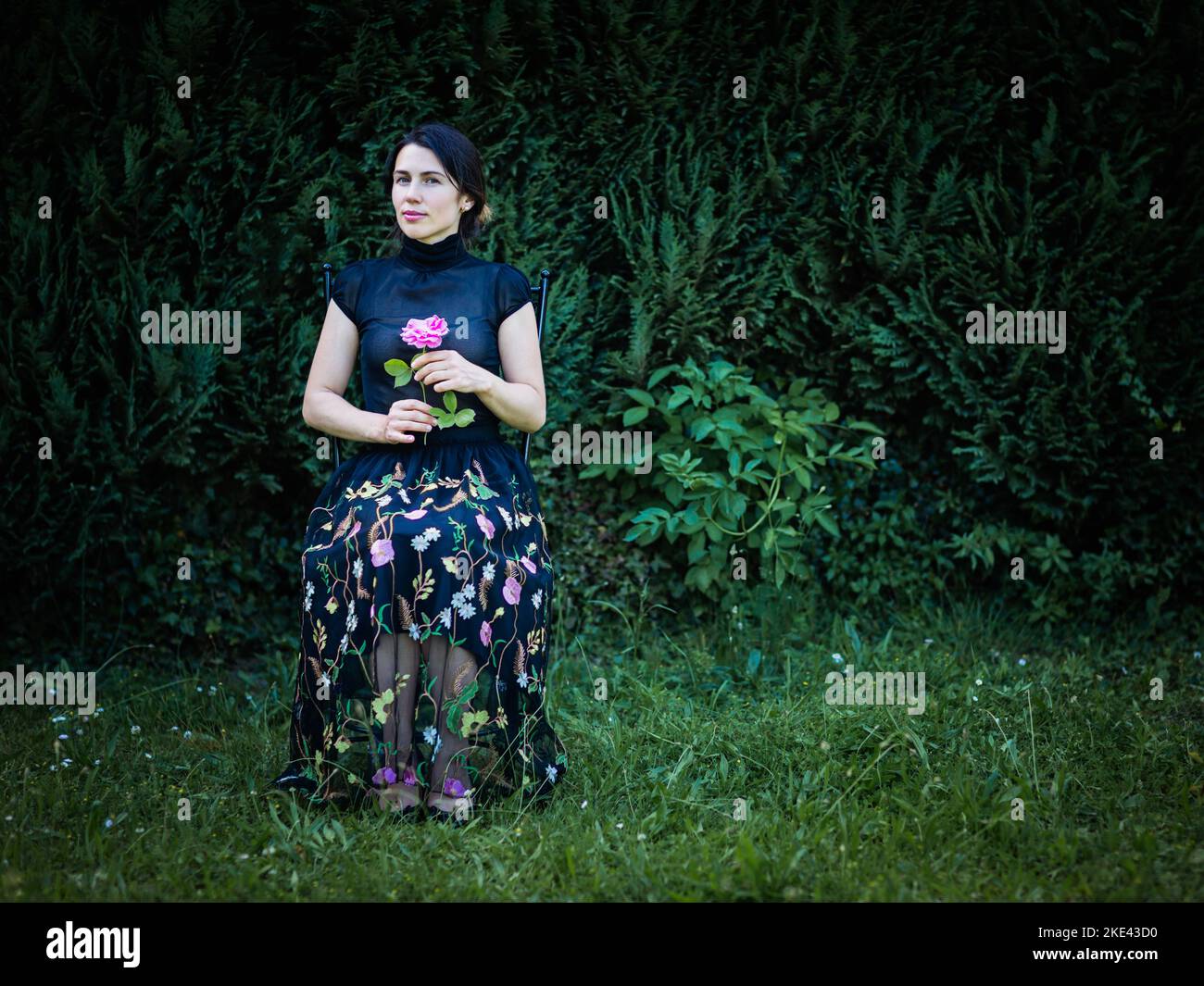 Una joven se sienta en una silla en el jardín cerca de un arbusto con una rosa en las manos Foto de stock