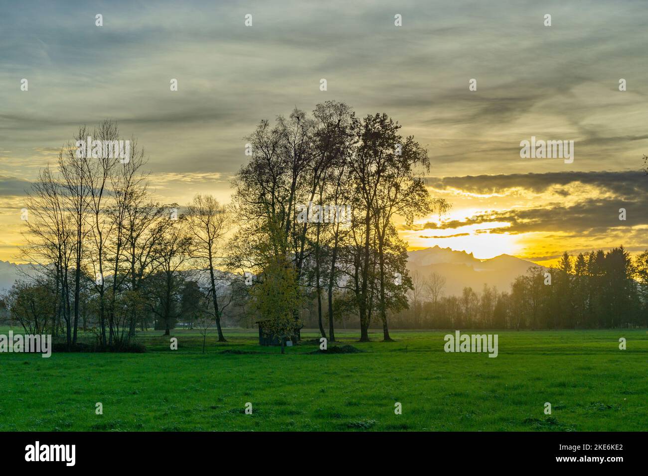 Sonnenuntergang im Rheintal, mit Wiesen und Felder, Bäumen und Schweizer Bergen im Hintergrund. Föhn mit Wolken und blau, gelb, naranja, roter Himmel Foto de stock