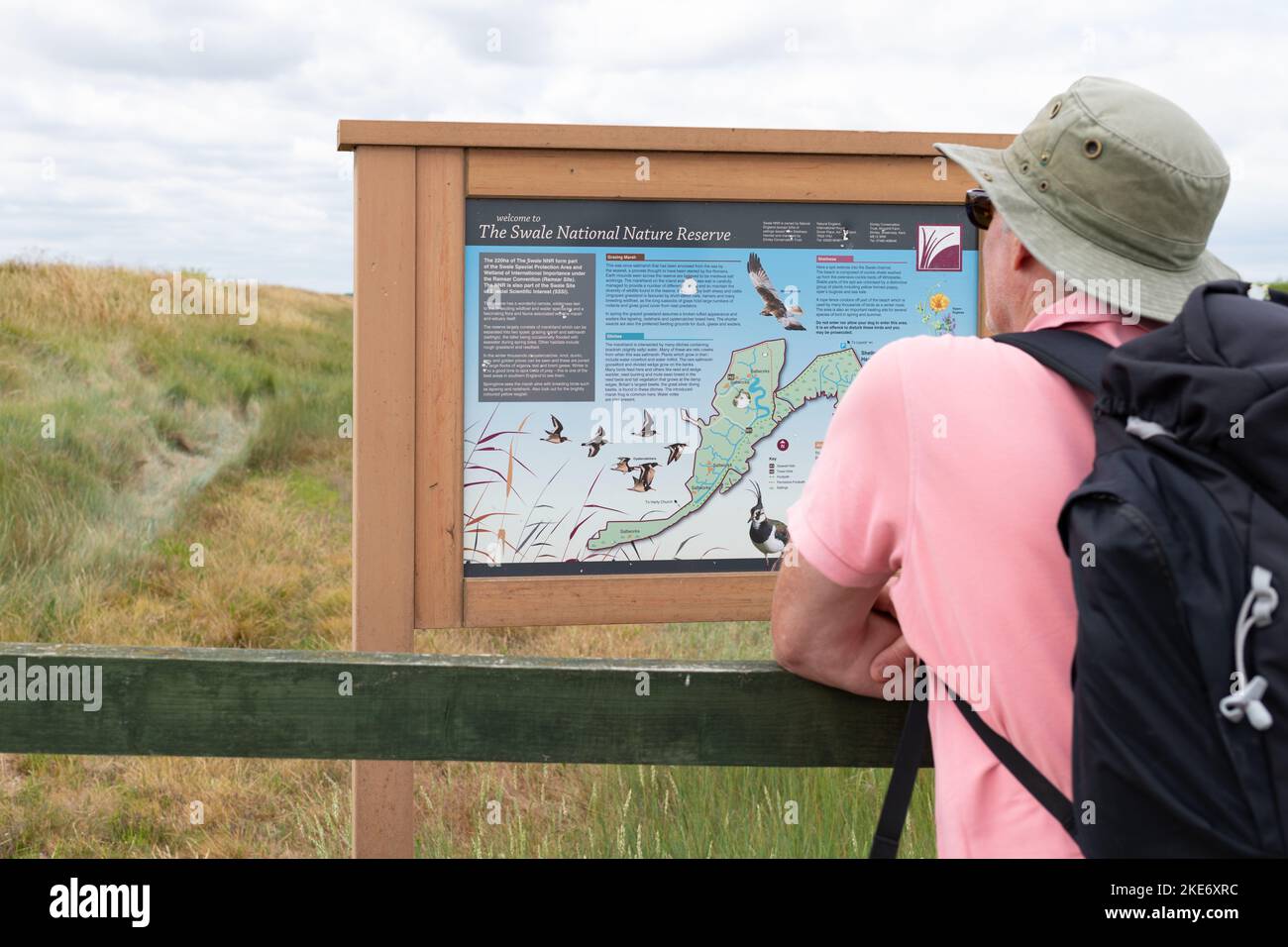 El cartel de información de la Reserva Natural Nacional Swale, Isla de Sheppey, Kent, Inglaterra, Reino Unido Foto de stock