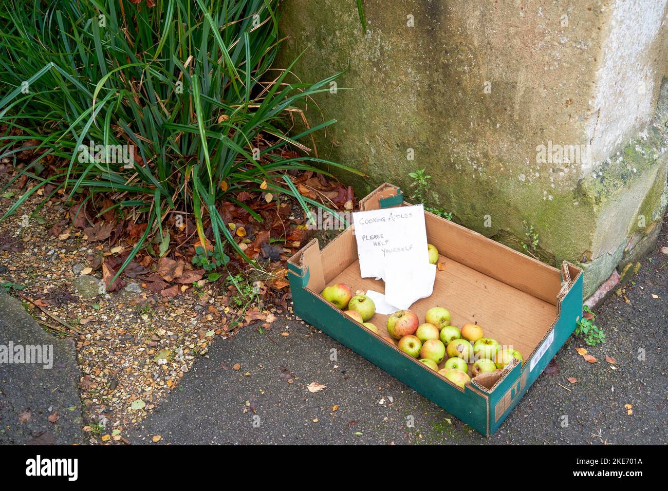 Cocinar manzanas gratis en una caja de cartón al borde de un pavimento con un aviso escrito a mano diciendo por favor sírvase ayudarse Foto de stock