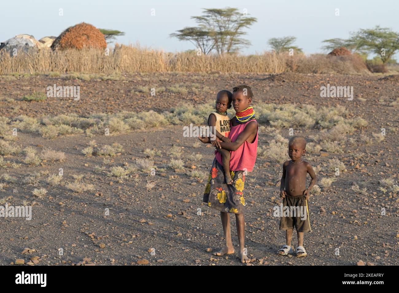 KENIA, Turkana, pueblo Nariokotome, turkana niños, la región sufre de falta de lluvia durante varios años / KENIA, Turkana, Dorf Nariokotome, Turkana Kinder, die Región leidet seit Jahren unter Dürre Foto de stock