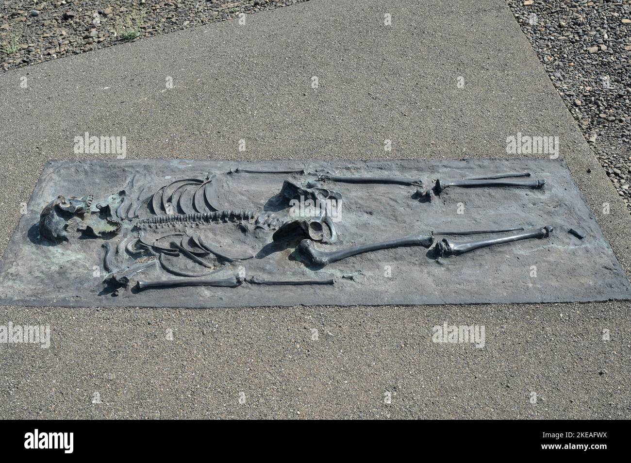 KENYA, Turkana, aldea Nariokotome, sitio de excavación de Turkana Boy, también llamado Nariokotome Boy, es el nombre dado al fósil KNM-WT 15000, un esqueleto casi completo de un joven homo ergaster que vivió hace 1,5 a 1,6 millones de años. Fue descubierto en 1984 por Kamoya Kimeu en la orilla del río Nariokotome, cerca del lago Turkana en Kenia, réplica de bronce / KENIA, Turkana, Dorf Nariokotome, Ausgrabungsstätte und Fundort des 'Turkana Boy', ein 1,6 Milliichonen Jahre altes menschliches Skelett, Nariokotome-as ezeines Männlichen, fósiles Jugendlichen Individuums der Gattung Homo Ergas Foto de stock