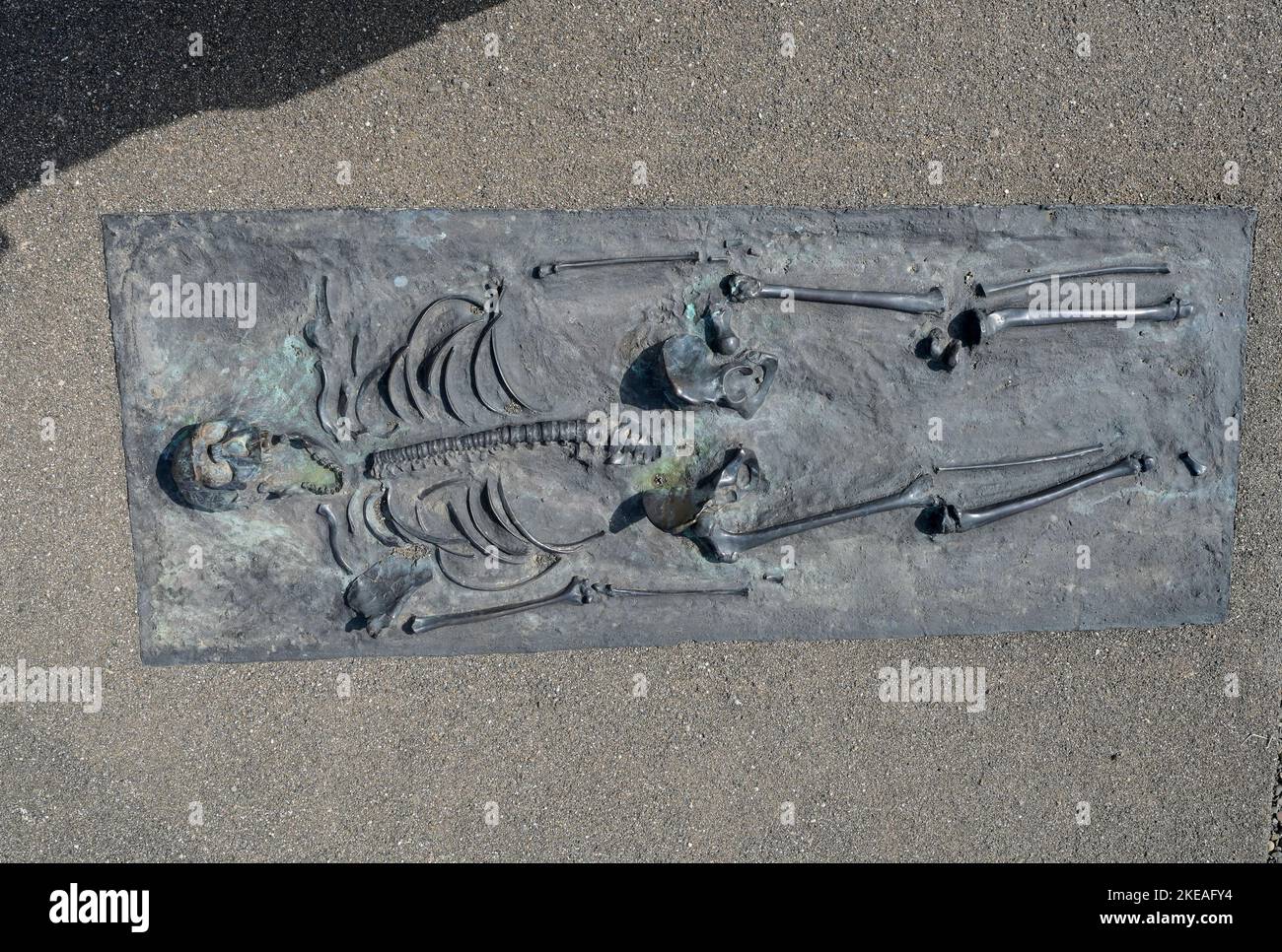 KENYA, Turkana, aldea Nariokotome, sitio de excavación de Turkana Boy, también llamado Nariokotome Boy, es el nombre dado al fósil KNM-WT 15000, un esqueleto casi completo de un joven homo ergaster que vivió hace 1,5 a 1,6 millones de años. Fue descubierto en 1984 por Kamoya Kimeu en la orilla del río Nariokotome, cerca del lago Turkana en Kenia, réplica de bronce / KENIA, Turkana, Dorf Nariokotome, Ausgrabungsstätte und Fundort des 'Turkana Boy', ein 1,6 Milliichonen Jahre altes menschliches Skelett, Nariokotome-as ezeines Männlichen, fósiles Jugendlichen Individuums der Gattung Homo Ergas Foto de stock