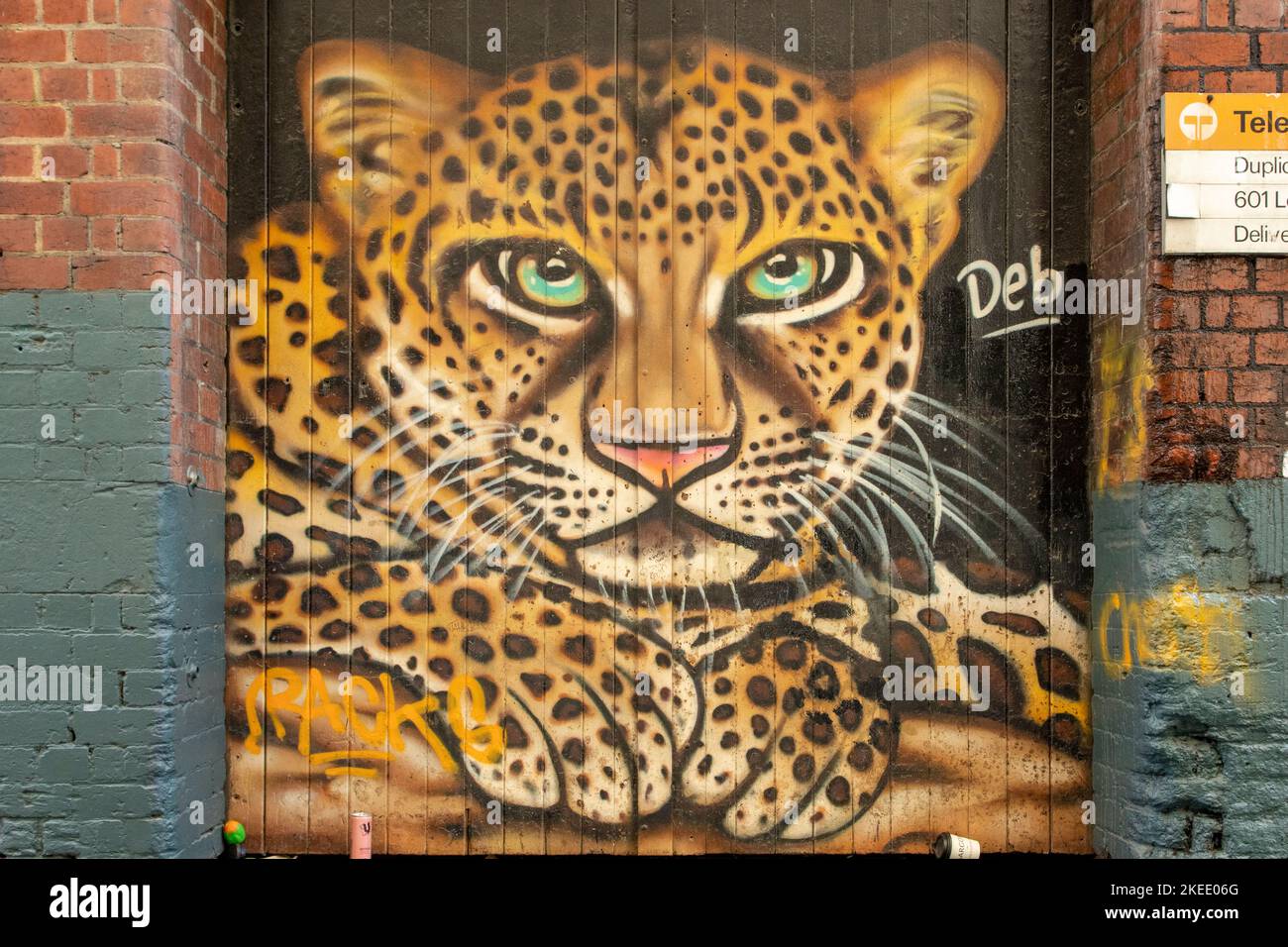 Mujer / Leopardo – Los Artistas del Barrio