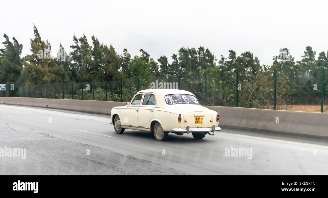 Peugeot 403 color blanco con una fotografía del presidente Houari Boumediene y su nombre escrito en la ventana trasera. Conduzca por la carretera con árboles Foto de stock