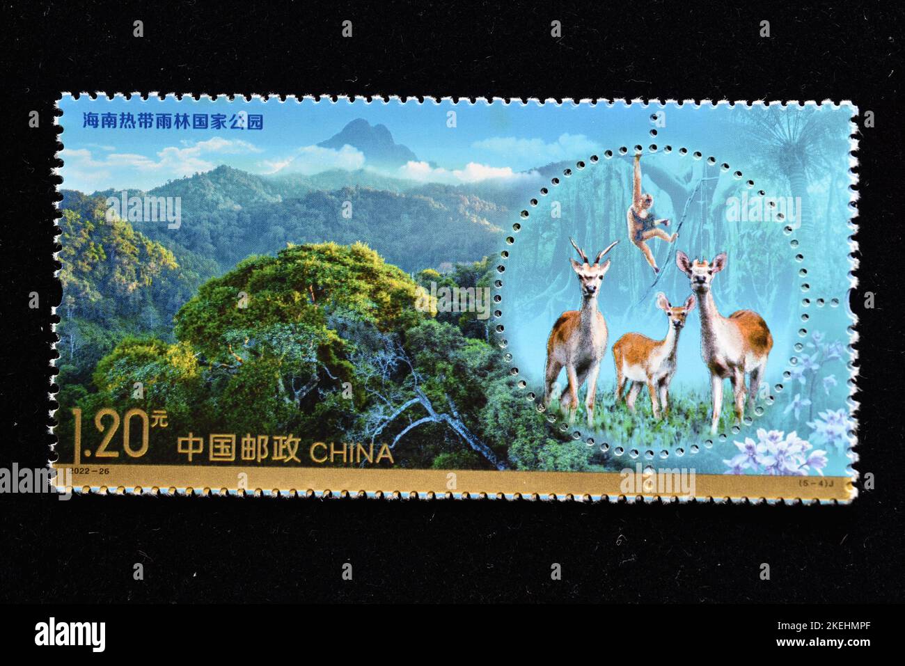 CHINA - CIRCA 2022: Un sello impreso en China muestra 2022-26 Parques Nacionales Parque Nacional de la Selva Tropical de Hainan , circa 2022. Foto de stock