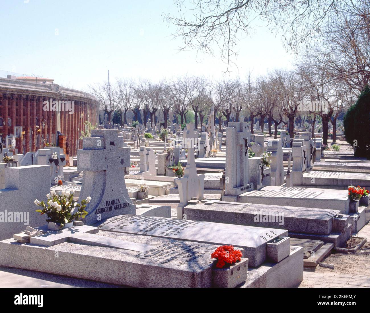 TUMBAS DEL CEMENTERIO DE LA ALMUDENA FOTO AÑOS 00. UBICACIÓN