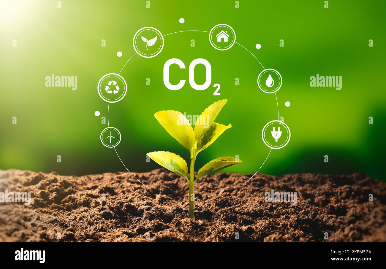 Dióxido de carbono, emisiones de CO2, concepto de huella de carbono Foto de stock