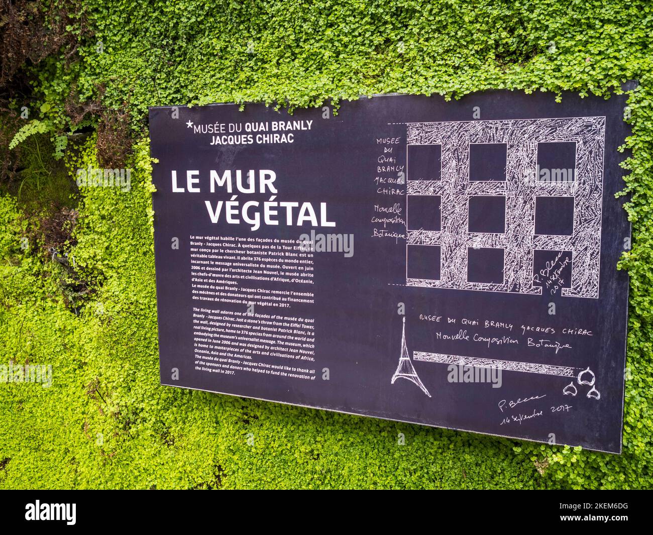 Muro vivo verde, Musée du quai Branly - Jacques Chirac, París, Francia, Europa. Foto de stock