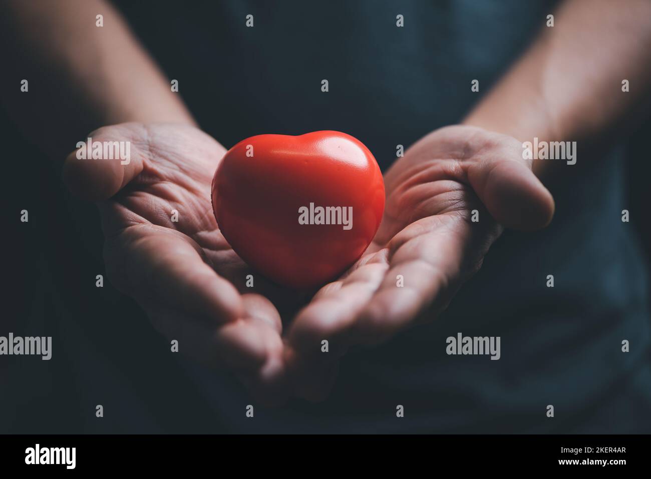 Manos sosteniendo y dando el corazón rojo para el amor, cuidado de la salud, donación de órganos, día mundial del corazón, día mundial de la salud, atención, bienestar, seguro familiar Foto de stock