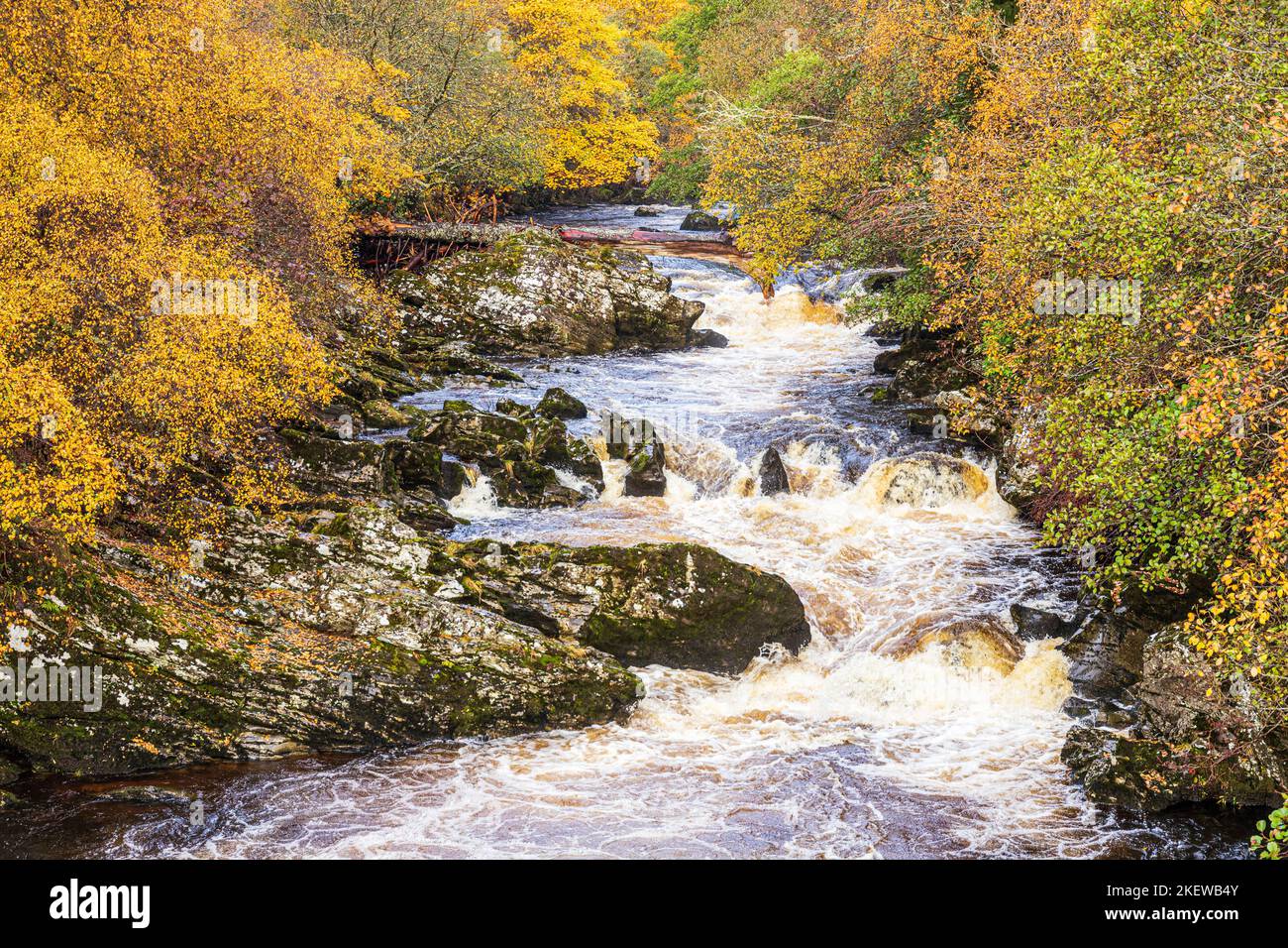 El río Black Water (que drena Glen Shee como Shee Water) en otoño al norte de Bridge of Cally, Perth & Kinross, Escocia Reino Unido Foto de stock