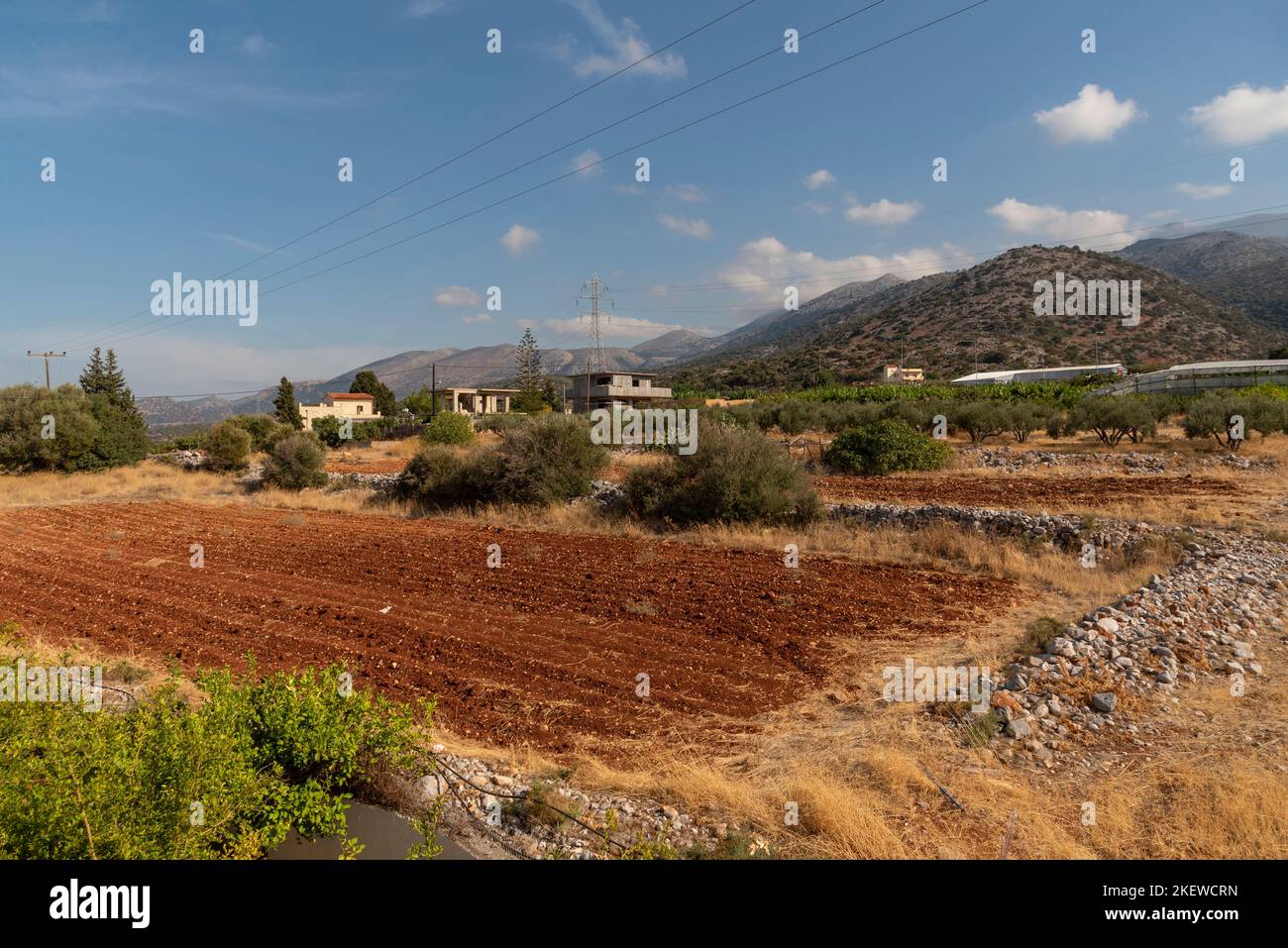 Malia, Creta, Grecia. 2022. El paisaje agrícola rural con un fondo de las montañas sobre Malis. Foto de stock