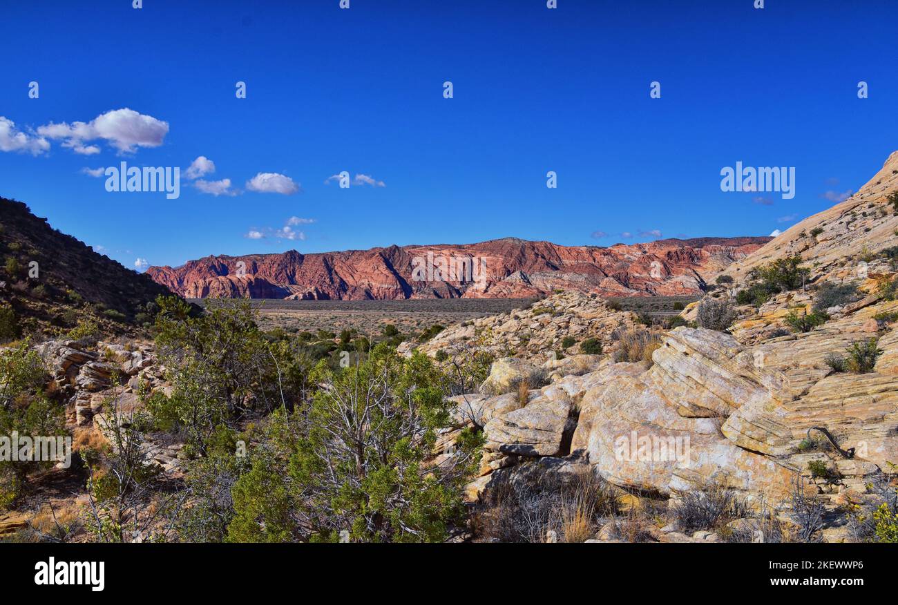 Vistas del Cañón de la Nieve desde la ruta de senderismo Jones Bones St George Utah, Parque Nacional Zion. EE.UU. Foto de stock