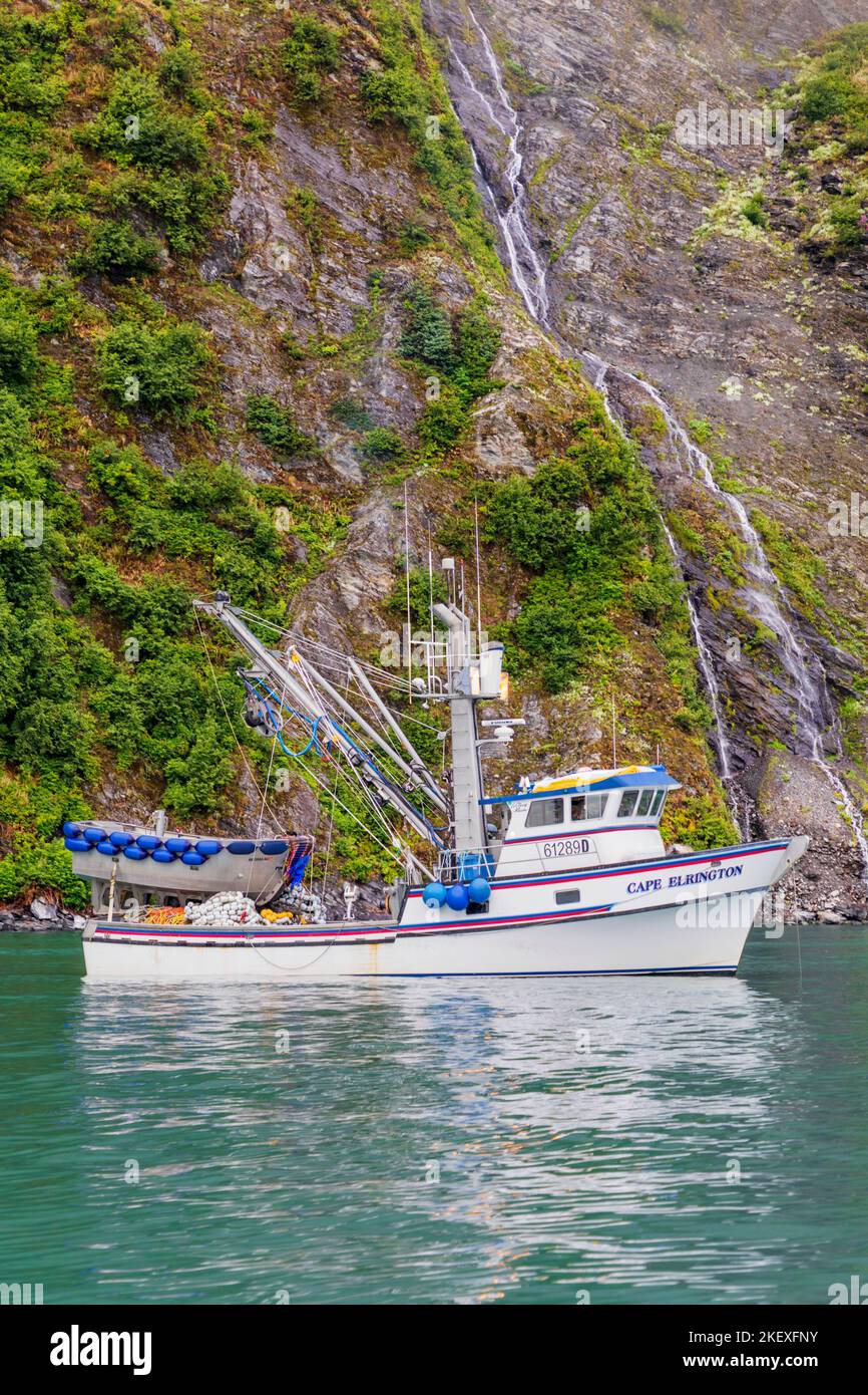Barcos pesqueros comerciales; Valdez Arm; Prince William Sound; Alaska; EE.UU Foto de stock