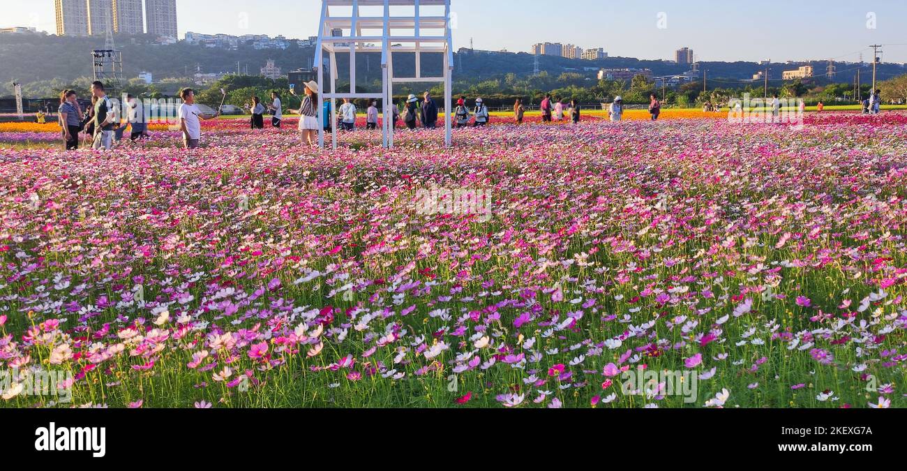 Daxi, Ciudad de Taoyuan - 14 de noviembre de 2022: Festival de la Flor de la Luna de Daxi, Ciudad de Taoyuan, Taiwán Foto de stock