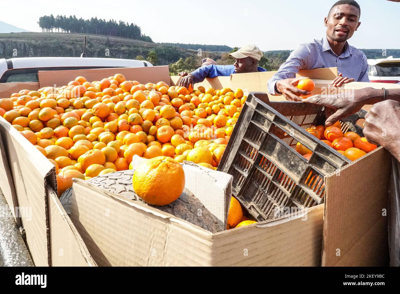 Vendedor de frutas que vende naranjas o cítricos desde la parte trasera de un vehículo en una zona rural de Mpumalanga, Sudáfrica Concepto de negocios o comercio informal Foto de stock