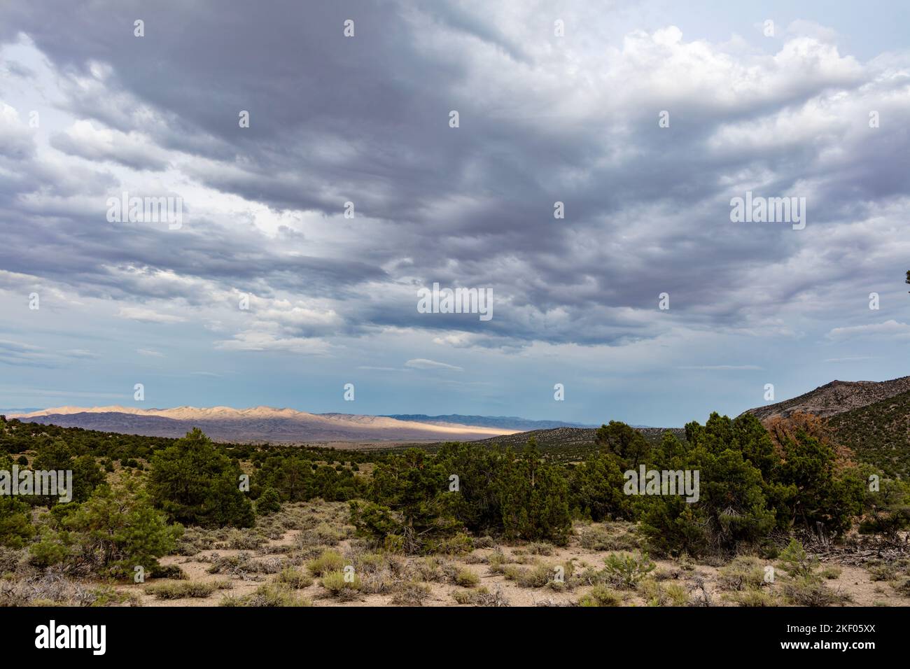 Las nubes de lluvia se reúnen en una noche de verano sobre el desierto de la Gran Cuenca y los matorrales al sur de Baker, Nevada cerca de la frontera de Utah. Foto de stock