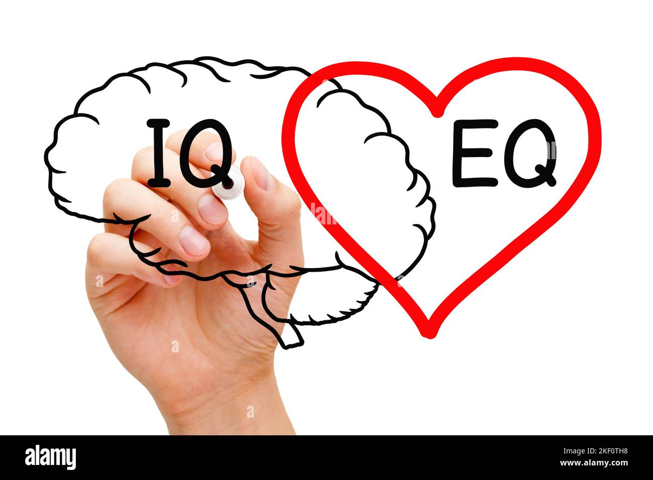 Dibujo a mano de un concepto de cerebro y corazón sobre el cociente de inteligencia IQ y la inteligencia emocional EQ. Foto de stock