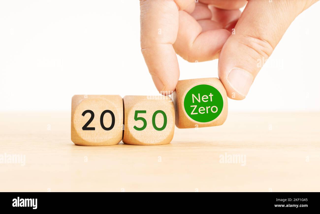 2050 años de concepto neto cero de carbono neutro. Selección manual de un símbolo Net Zero Bloques de madera con texto. Espacio de copia Foto de stock