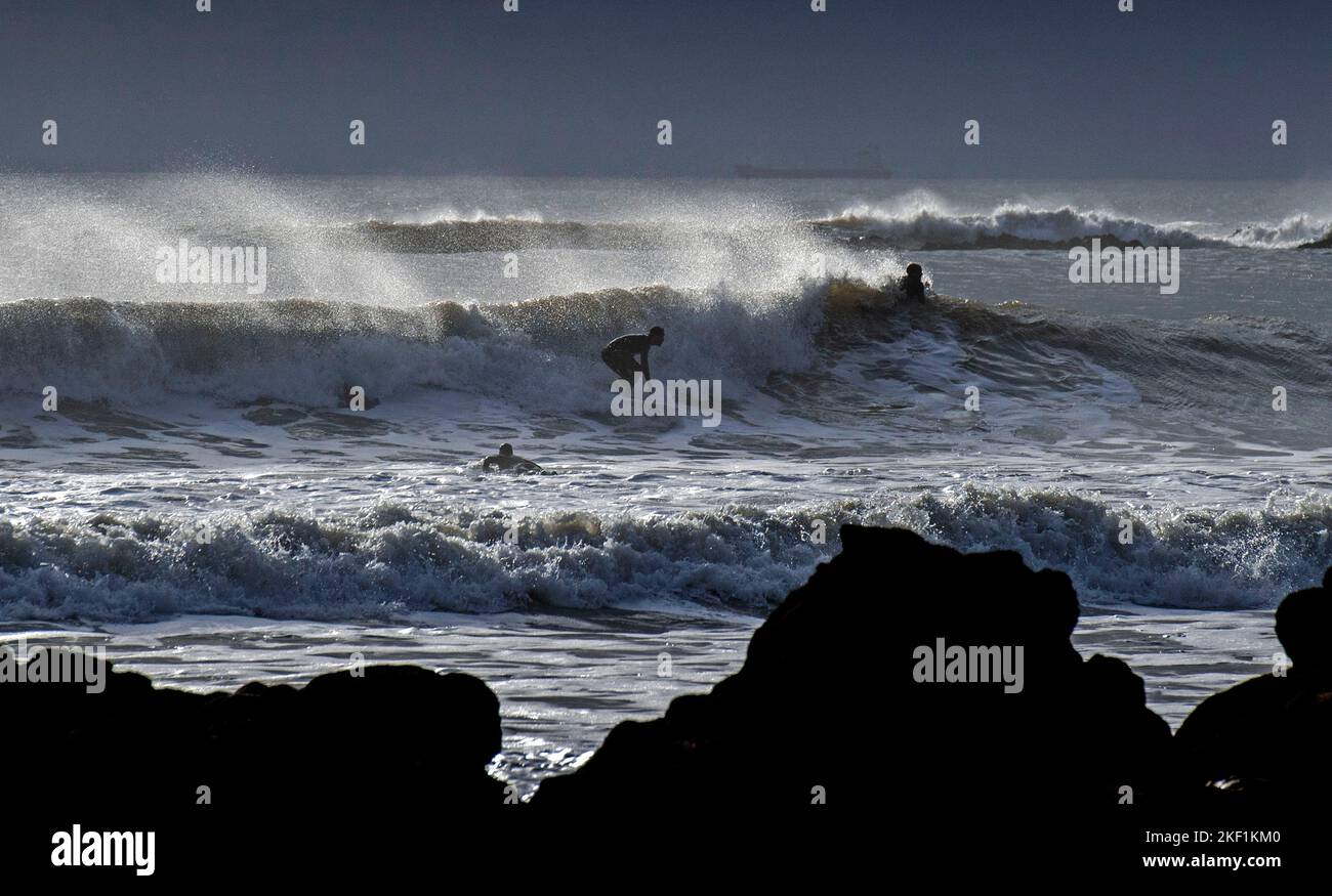 Swansea, Reino Unido. 15th de Nov de 2022. Un surfista montando las olas en la bahía de Langland, Swansea esta tarde durante un descanso en el tiempo húmedo. Crédito: Phil Rees/Alamy Live News Foto de stock