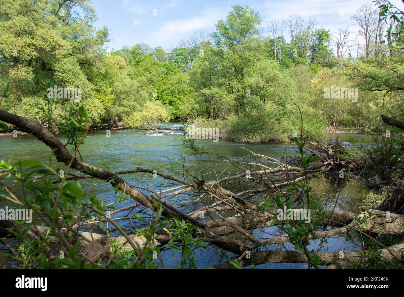 Die Ognon, einer der wildesten Flüsse von Frankreich, durchfliesst die Franche-Comté Foto de stock