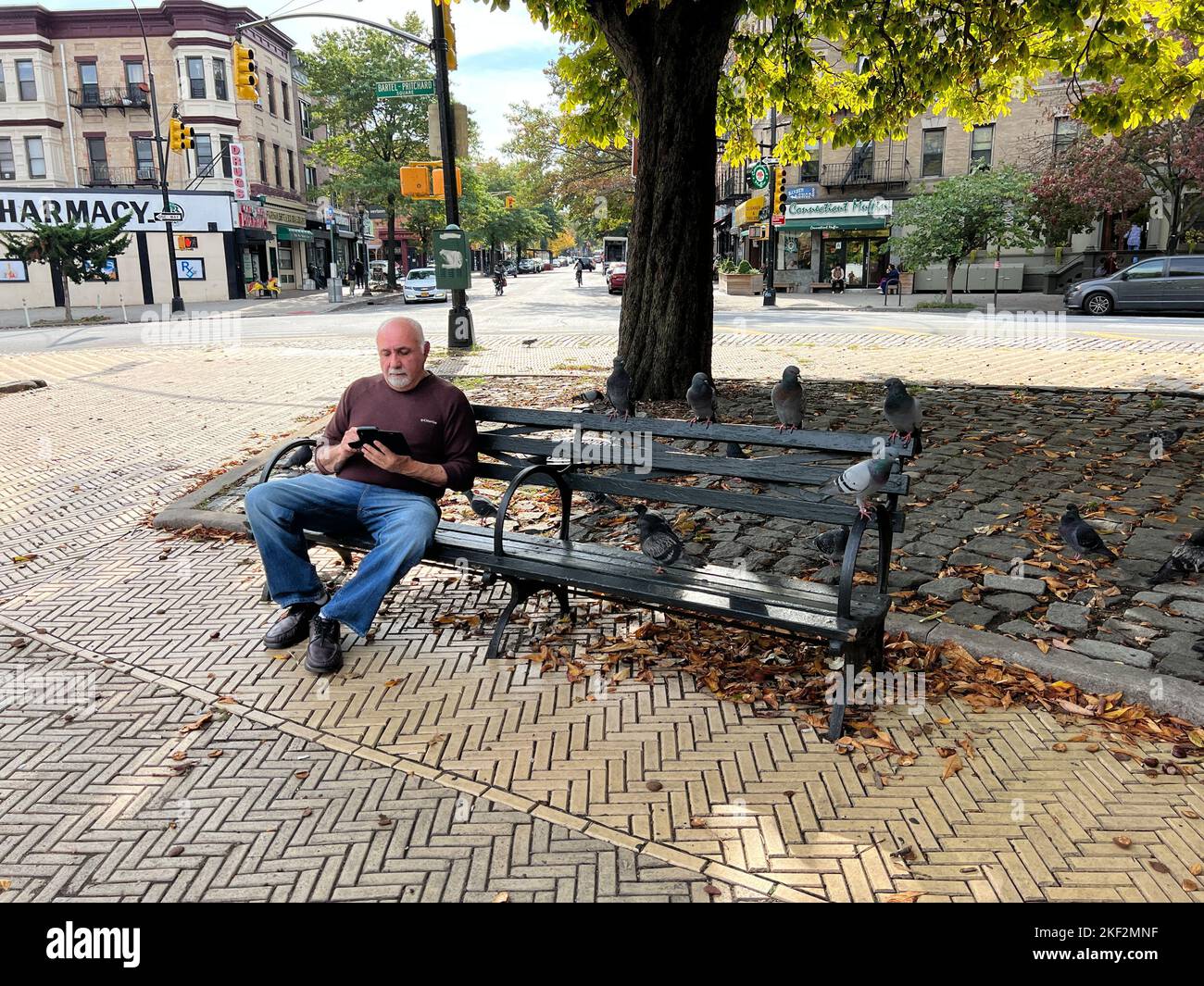 El hombre comparte un banco con las palomas en Prichard Square por Prospect Park a lo largo de Prospect Park West en Brooklyn, Nueva York. Foto de stock