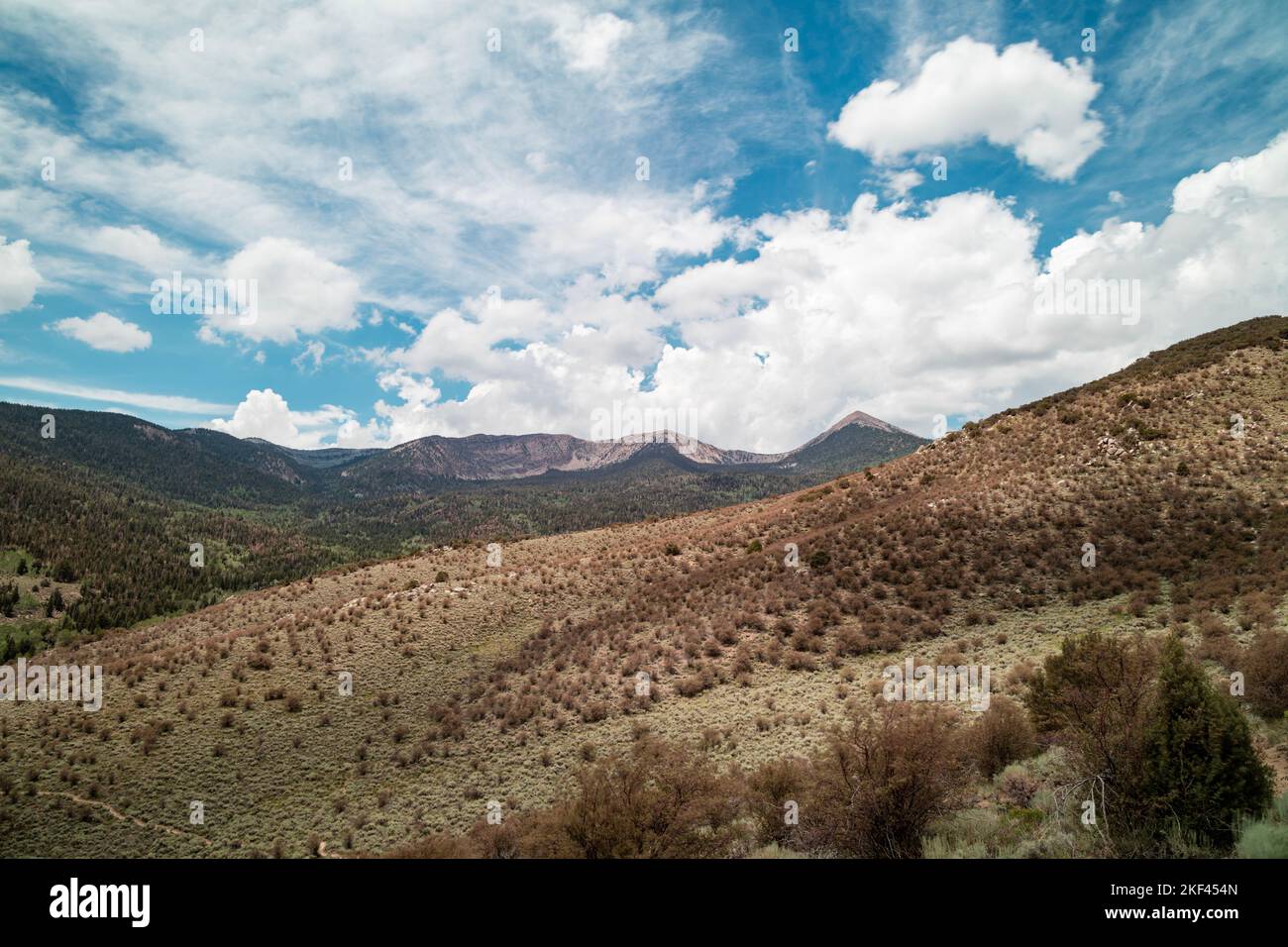 Pyramid Peak y la cadena montañosa Snake, ubicados dentro del Parque Nacional Great Basin en Nevada. Las nubes blancas del cumulus se ven encima en un día del verano, Foto de stock
