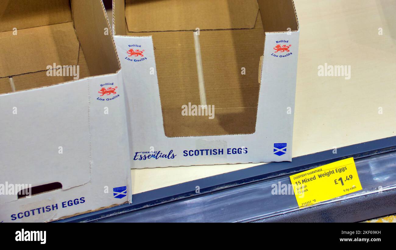 Glasgow, Escocia, Reino Unido 16th de noviembre de 2022.La escasez de huevos de Aldi vio una estantería vacía. Crédito Gerard Ferry/Alamy Live News Foto de stock