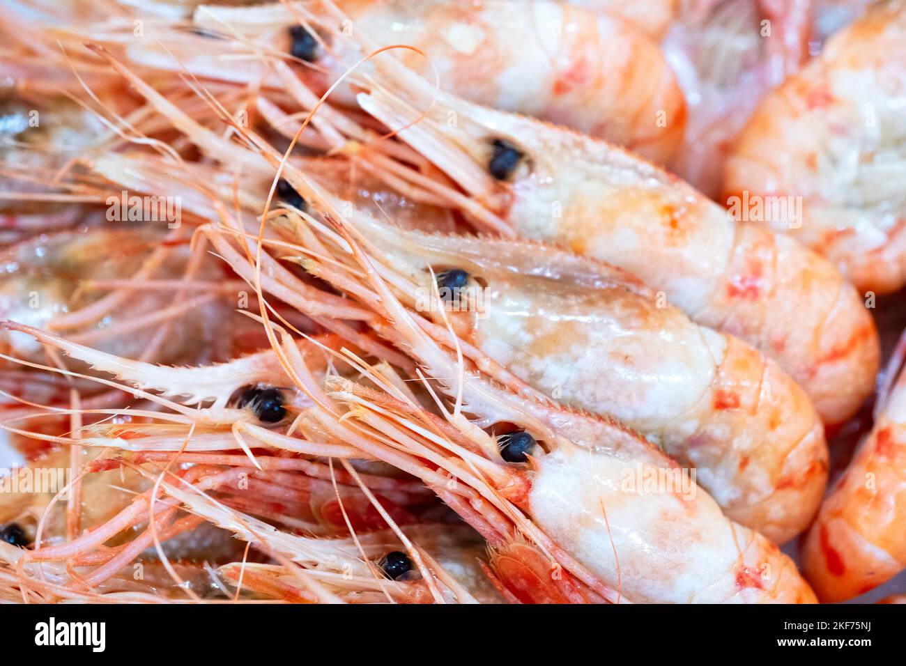 Cocinado en el lugar fotografías e imágenes de alta resolución - Alamy