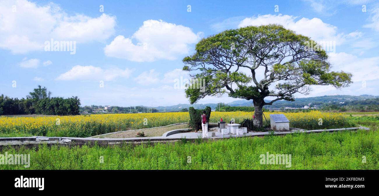 La vista de Niza con totoro como templo miaoli, Taiwán Foto de stock