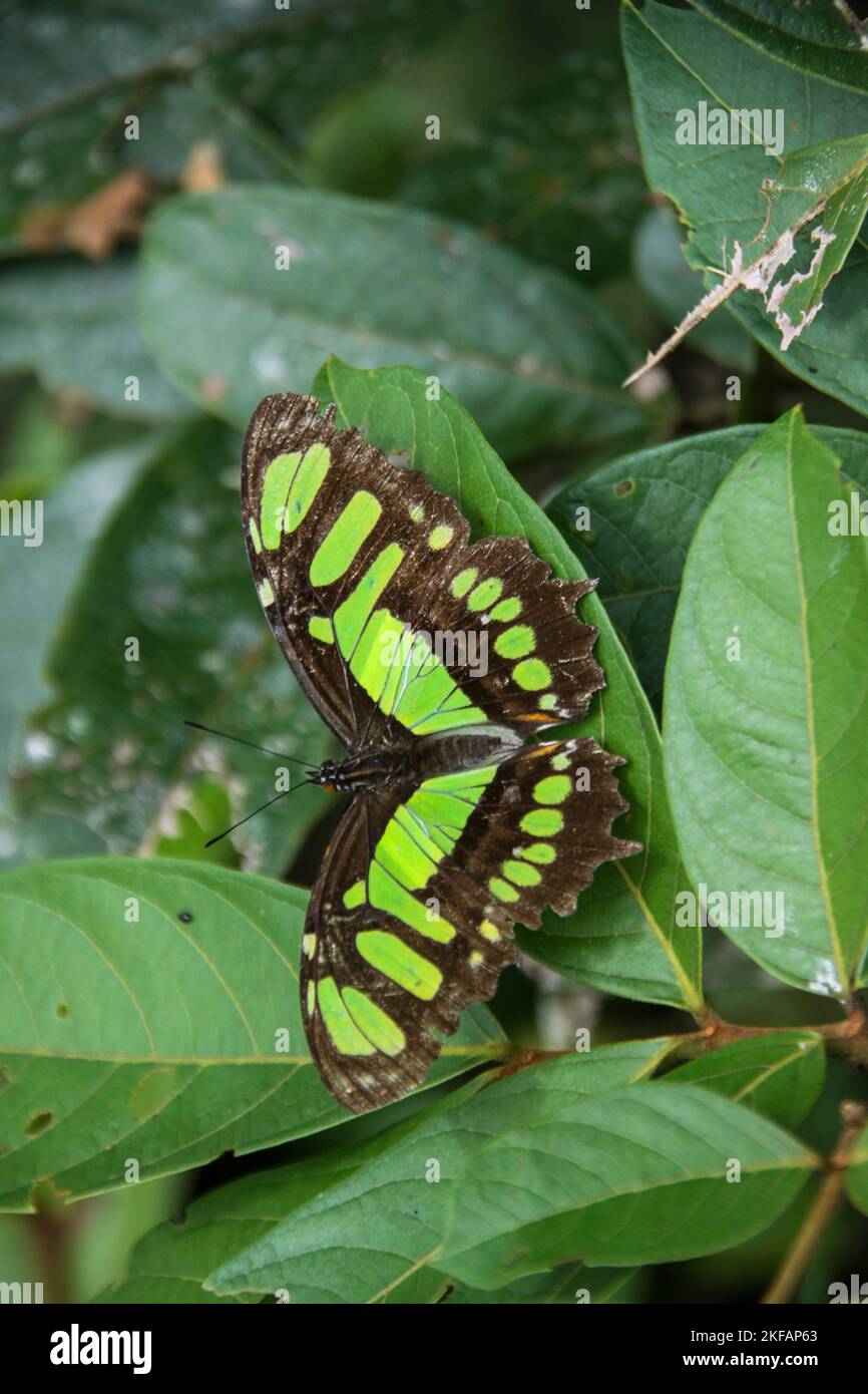 Parque Agroecológico, Banos, Ecuador Parque de la Familia, Baños de