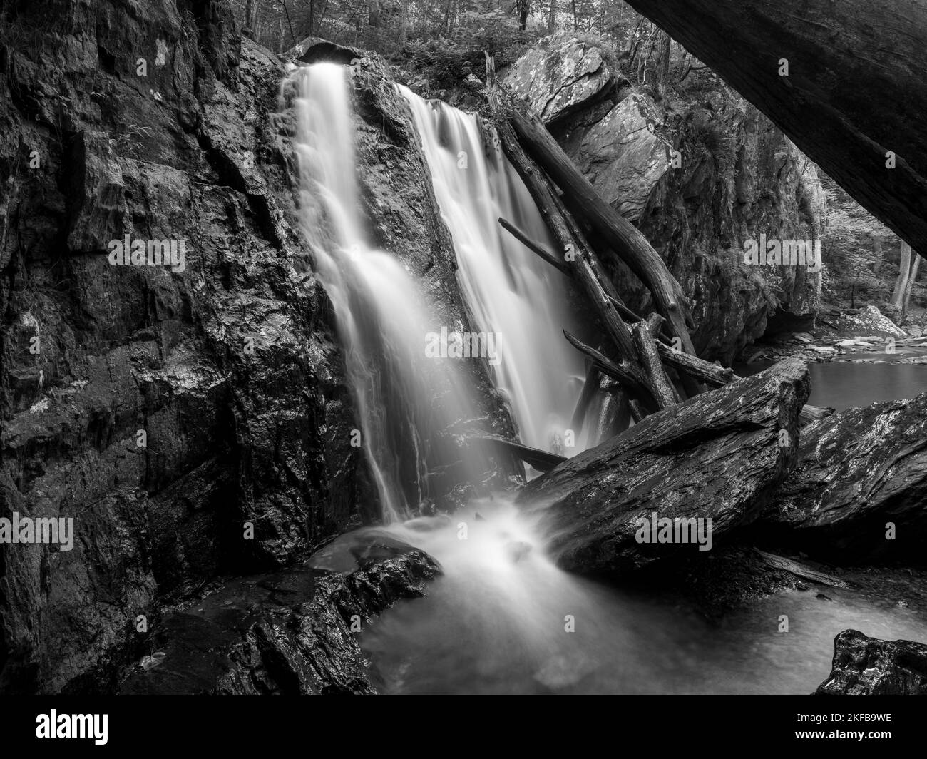 Kilgore Falls en el bosque del condado de Harford Foto de stock