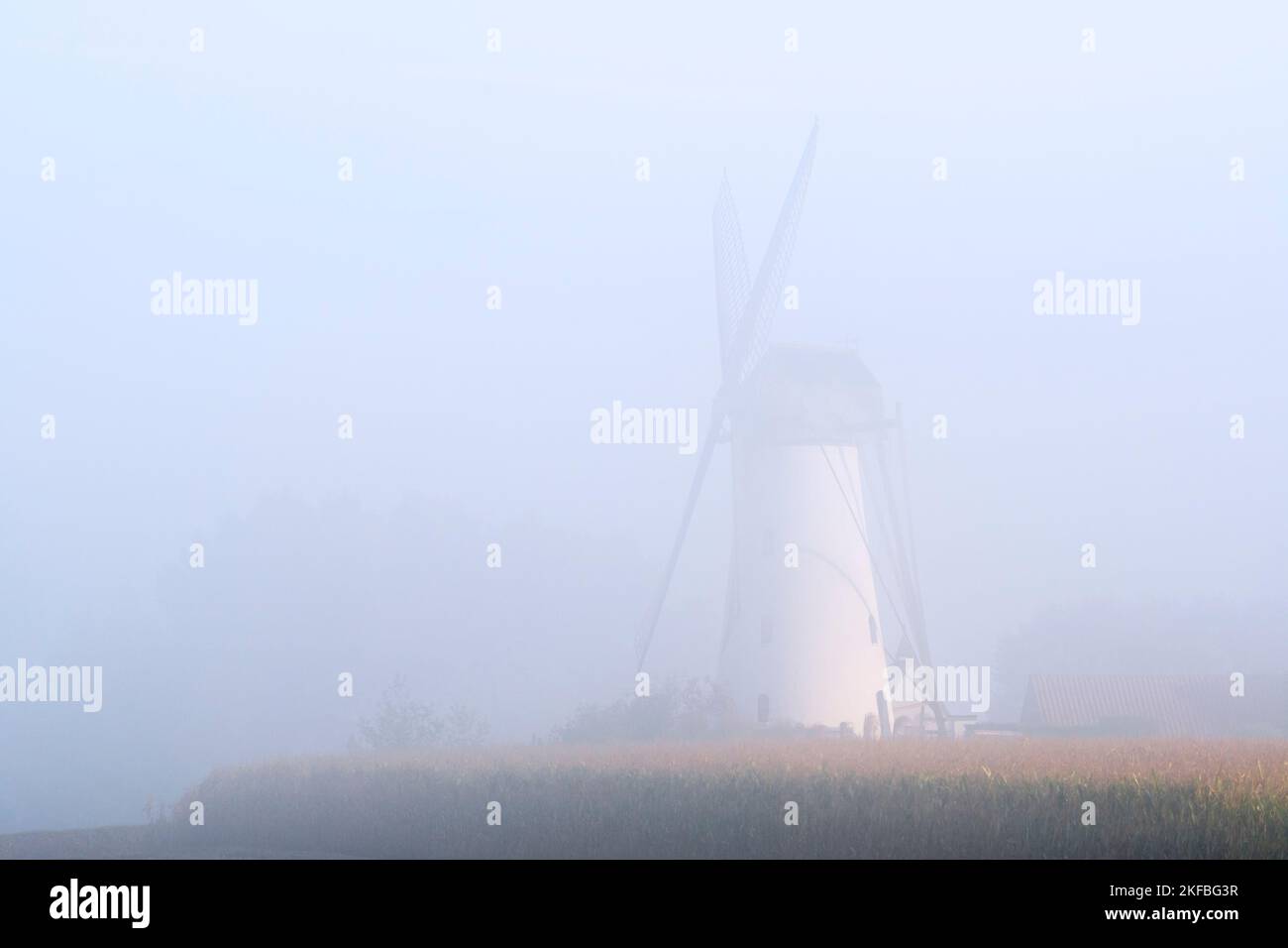 Van Vlaenderensmolen en la niebla de la mañana temprano / niebla, tradicional molino de viento flamenco / molino de viento utilizado como molino de viento, Vinderhoute, Flandes Oriental, Bélgica Foto de stock