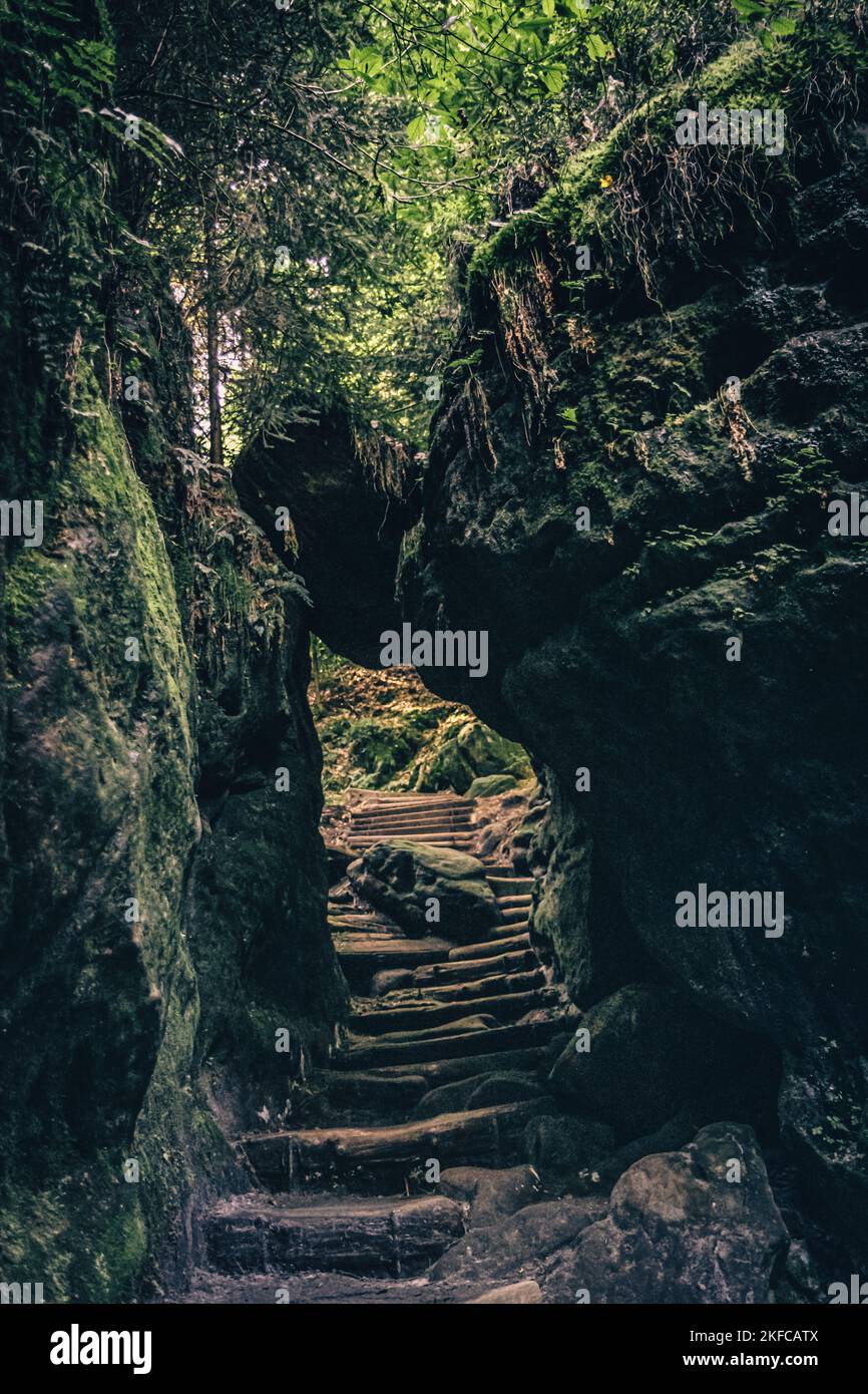 Escaleras en el bosque como un descenso en la cueva del paisaje del bosque Kirnitzschtal. Kirnitzschklamm en un pequeño arroyo. El famoso Schrammsteine i Foto de stock