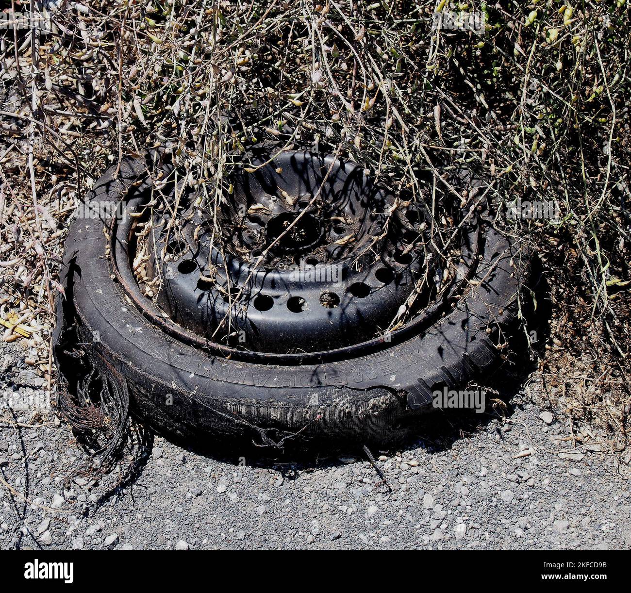 Neumático de automóvil desechado en California Foto de stock