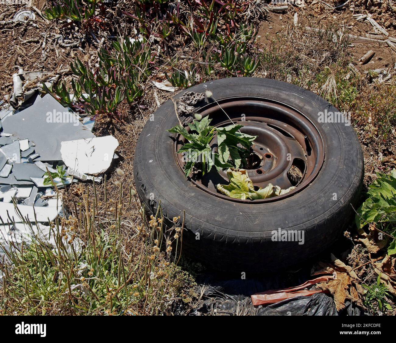 Neumático de automóvil desechado en California Foto de stock