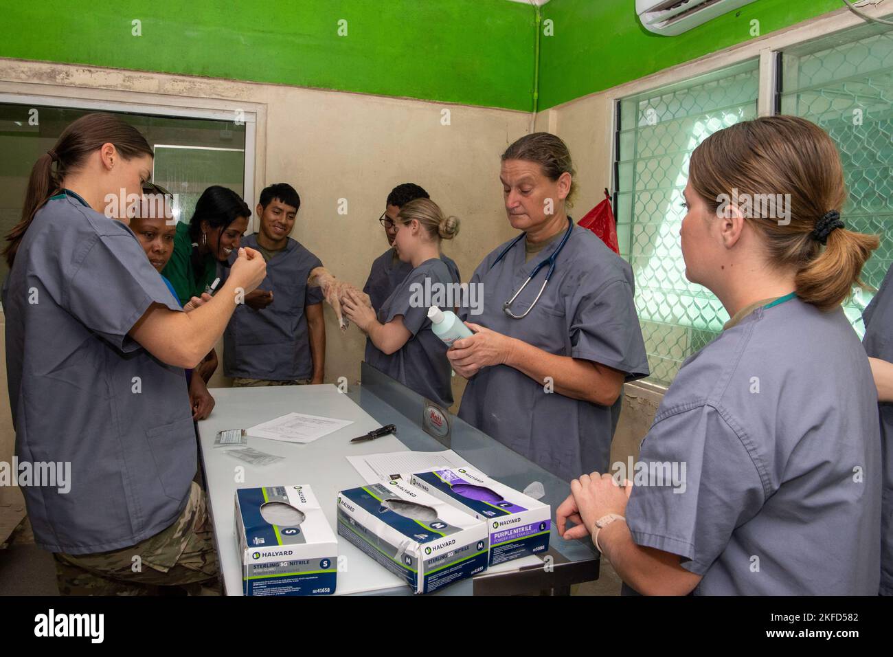 HONIARA, Islas Salomón (Sept 8, 2022) – Profesionales veterinarios del  Ejército de los Estados Unidos realizan un examen de perro durante una  clínica de atención directa veterinaria en el Ministerio de Agricultura