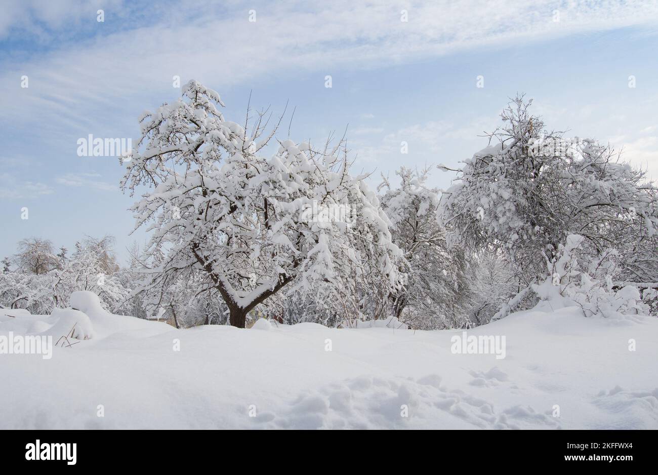 Un jardín cubierto de nieve Foto de stock