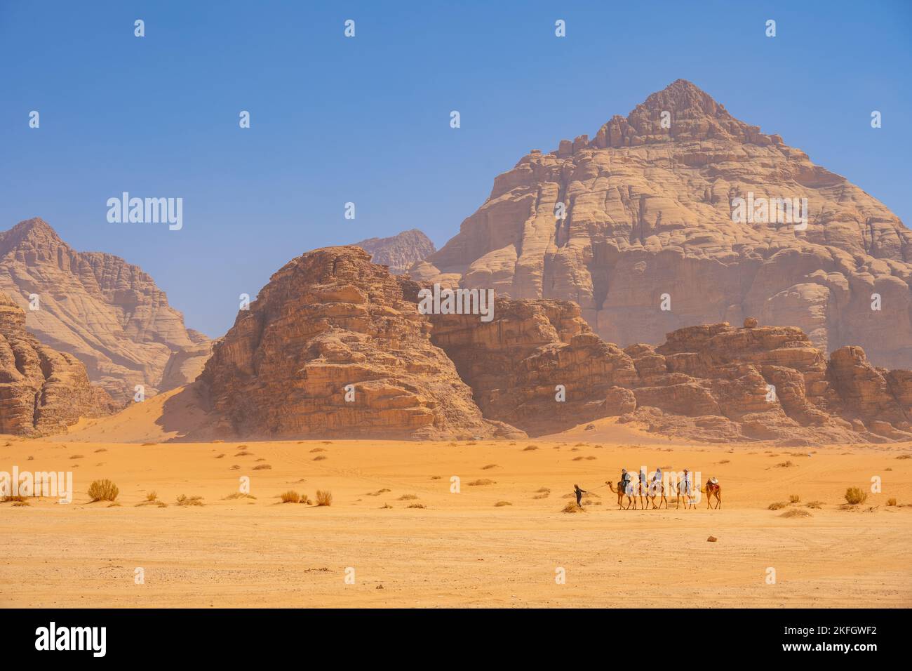 Camellos en las montañas de Wadi Rum Jordan Foto de stock