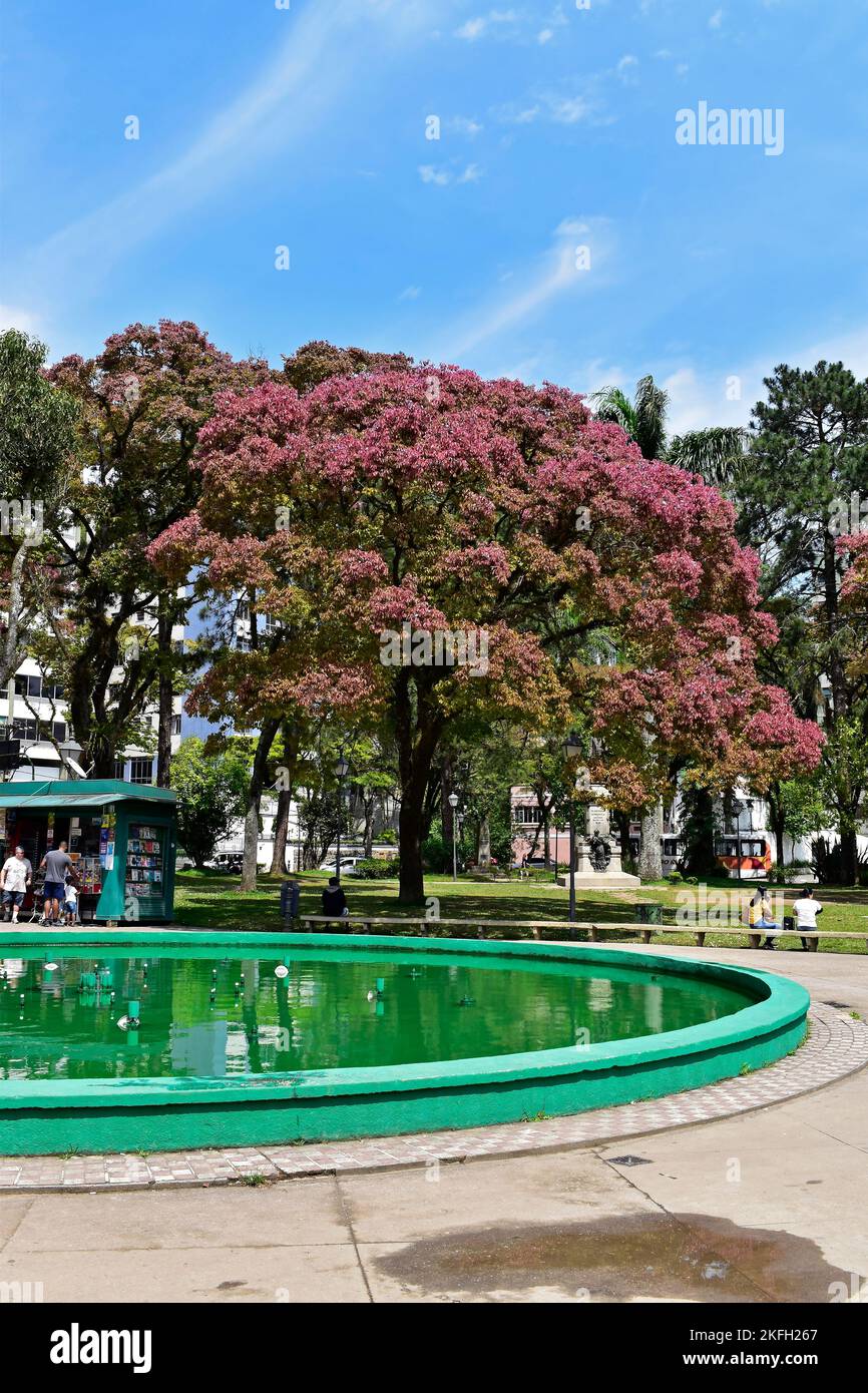 PETRÓPOLIS, RÍO DE JANEIRO, BRASIL - 28 de octubre de 2022: Fuente en la plaza pública (Praça da Liberdade) Foto de stock