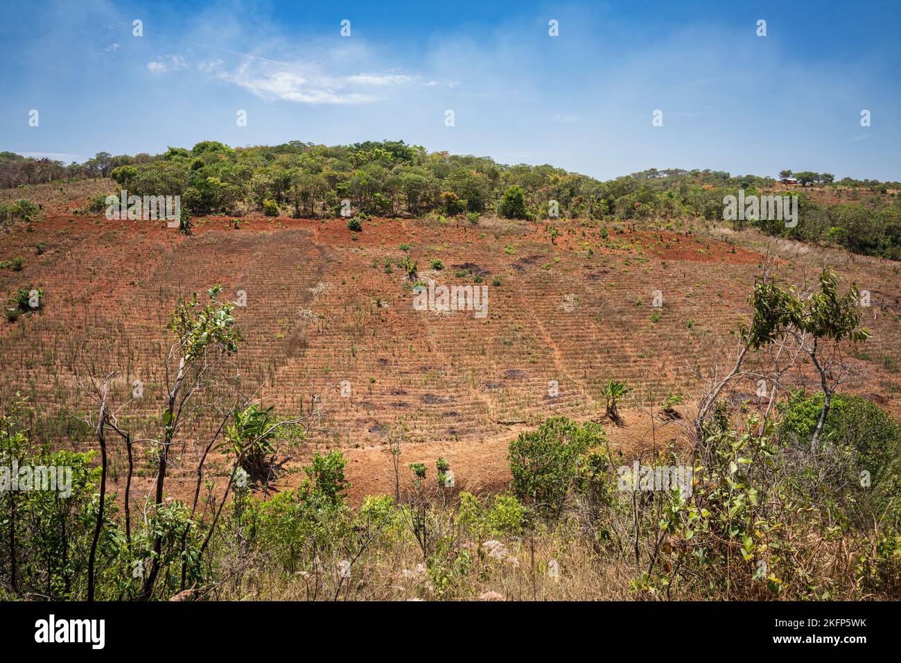 Terraplenes agrícolas en laderas escarpadas en el distrito de la bahía de Nkhata, Malawi Foto de stock