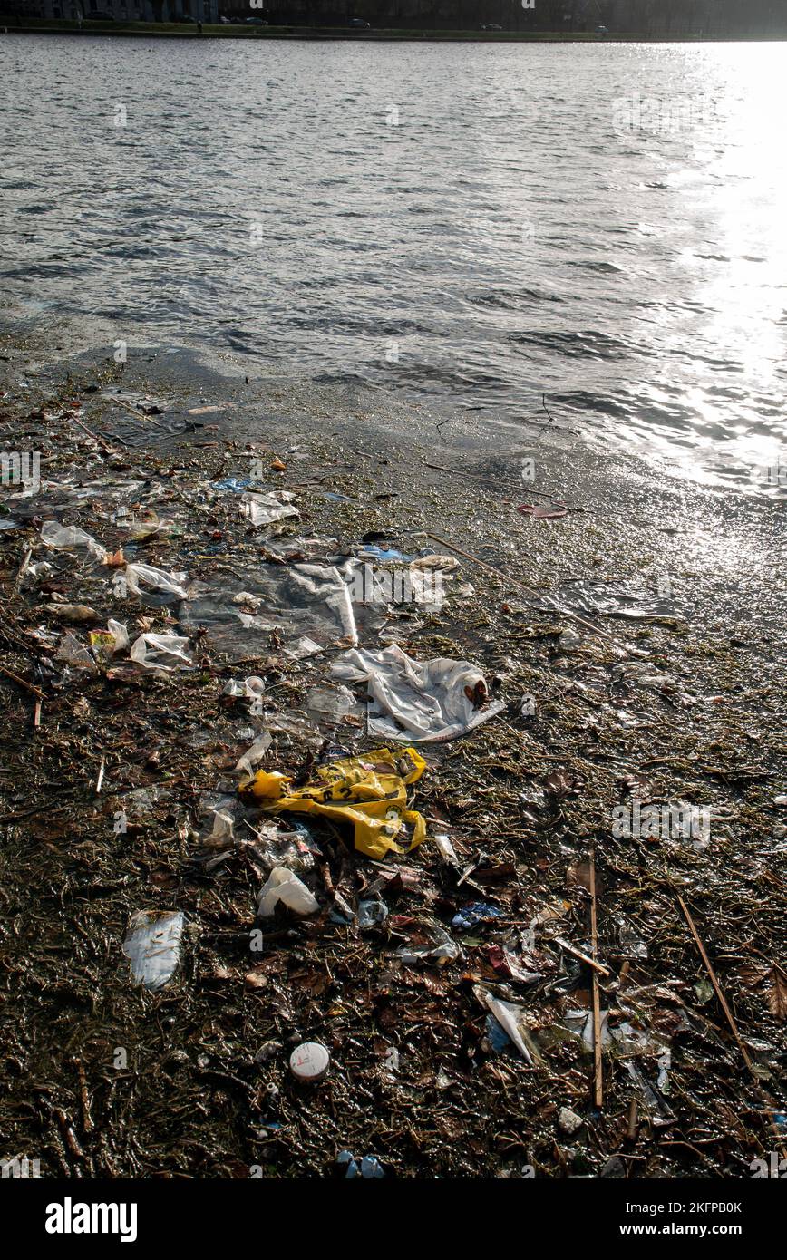 Basura plástica y otros residuos flotando en el agua, lavados en Sortedams SO, Copenhague, Dinamarca. Contaminación del agua. Basura plástica flotando en el agua. Foto de stock