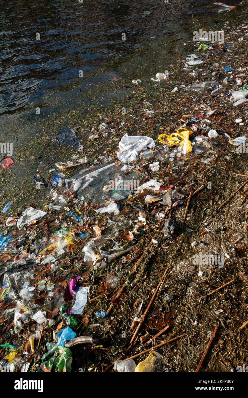Basura plástica y otros residuos flotando en el agua, lavados en Sortedams SO, Copenhague, Dinamarca. Contaminación del agua. Basura plástica flotando en el agua. Foto de stock