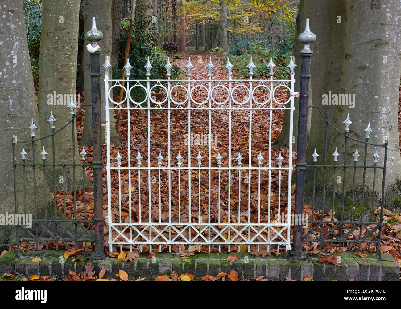 Puerta de hierro fundido bellamente decorada que da acceso a un sendero forestal en otoño Foto de stock
