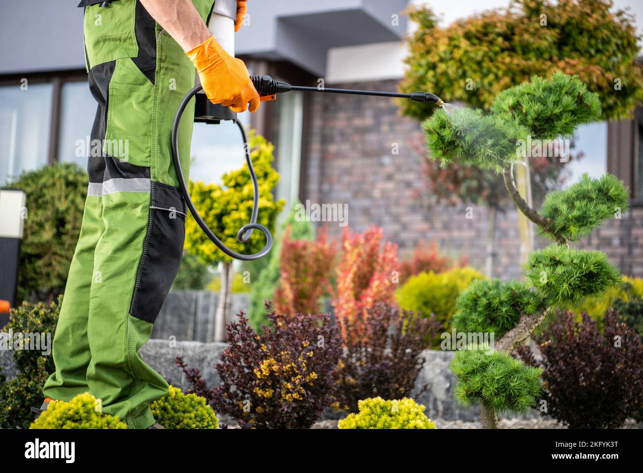 Primer plano de Jardinero Profesional Aplicando Productos Químicos de Control de Plagas en Plantas. Tema de Mantenimiento y Cuidado del Jardín. Foto de stock
